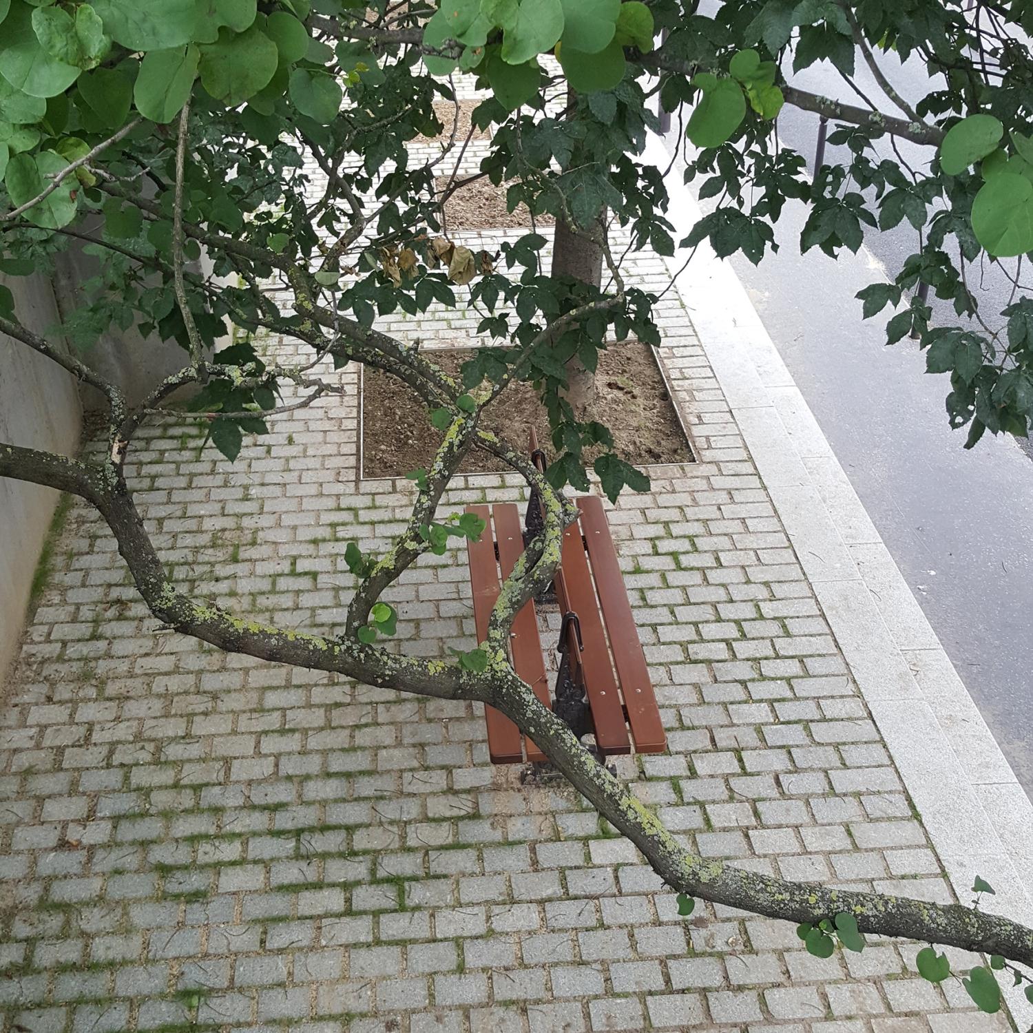 Pavés jardines